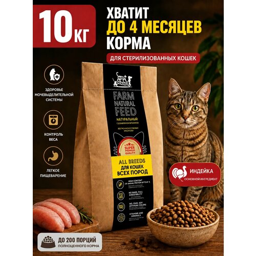 фото Корм для кошек сухой с индейкой 10 кг, buddy dinner gold line холистик