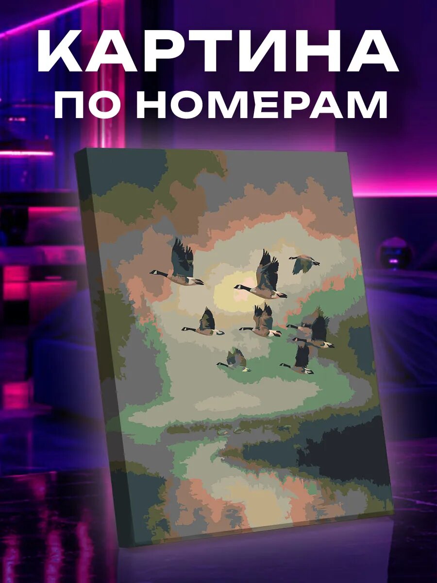 Картина по номерам Гуси