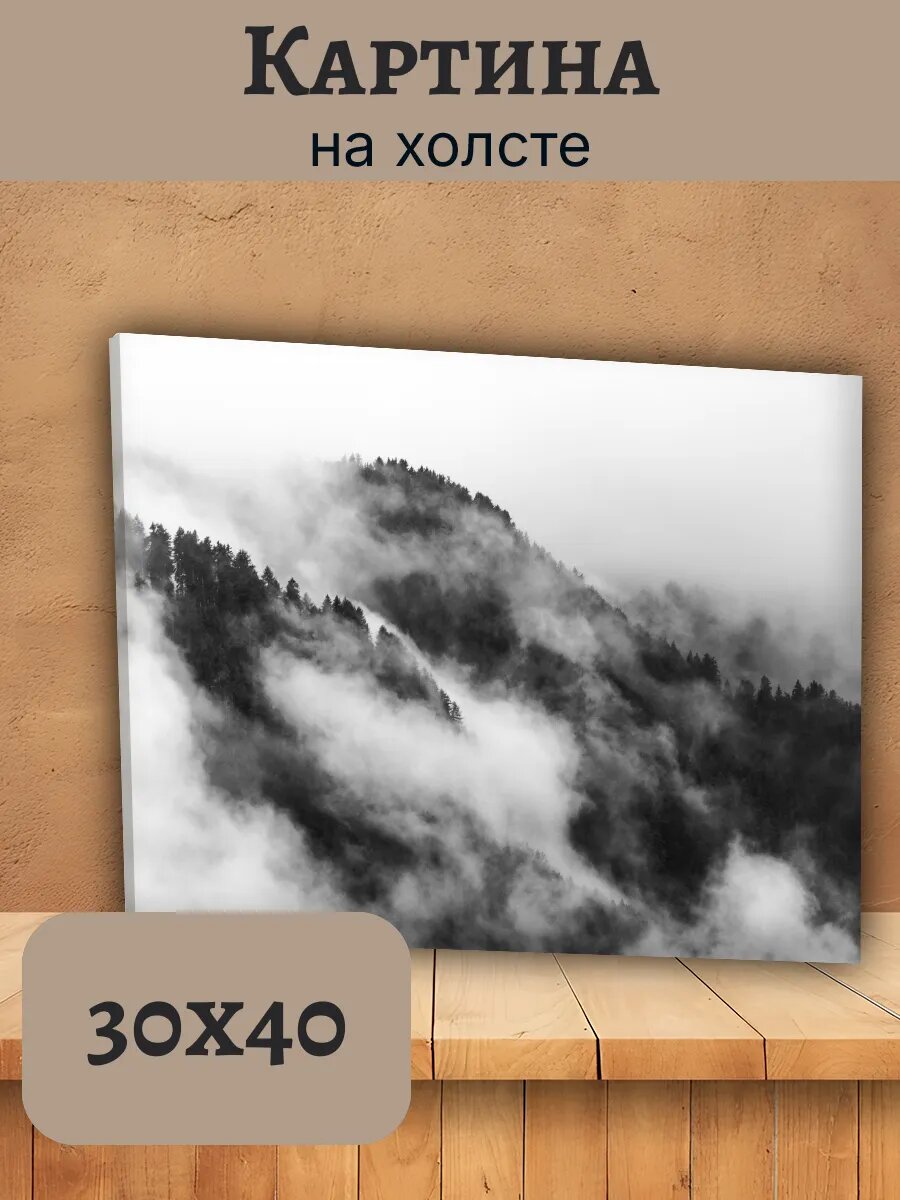 Картина Италия Italy 30x40 горный хвойный лес