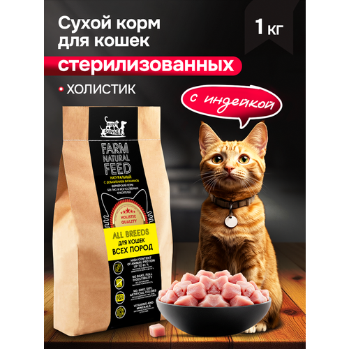 фото Сухой корм для кошек с индейкой 1 кг, buddy dinner холистик