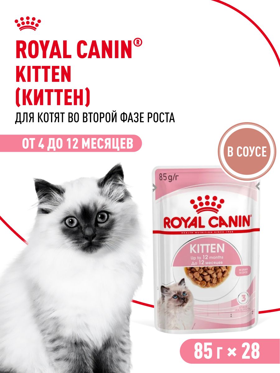 Влажный корм для котят Royal Canin Kitten в соусе 85 г х 28 шт