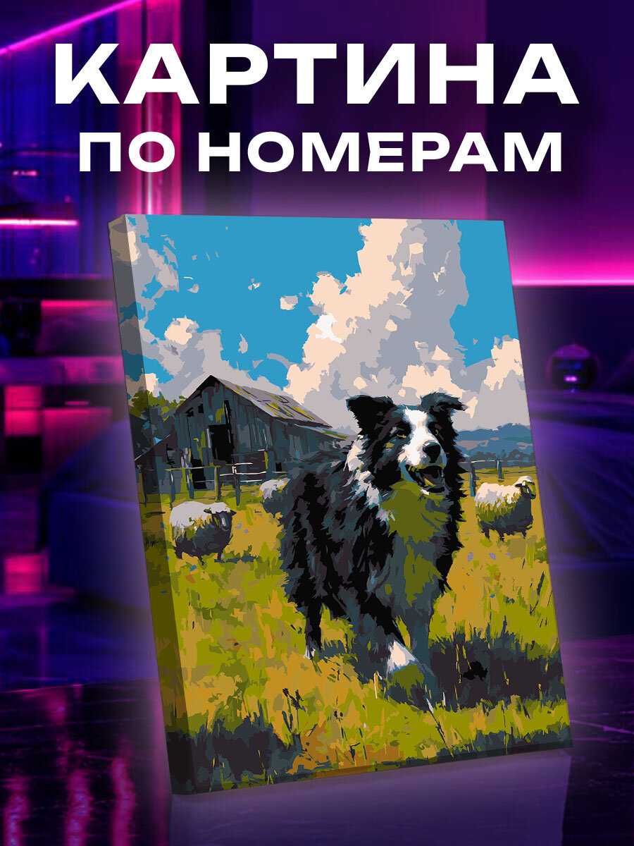 Картина по номерам Собака