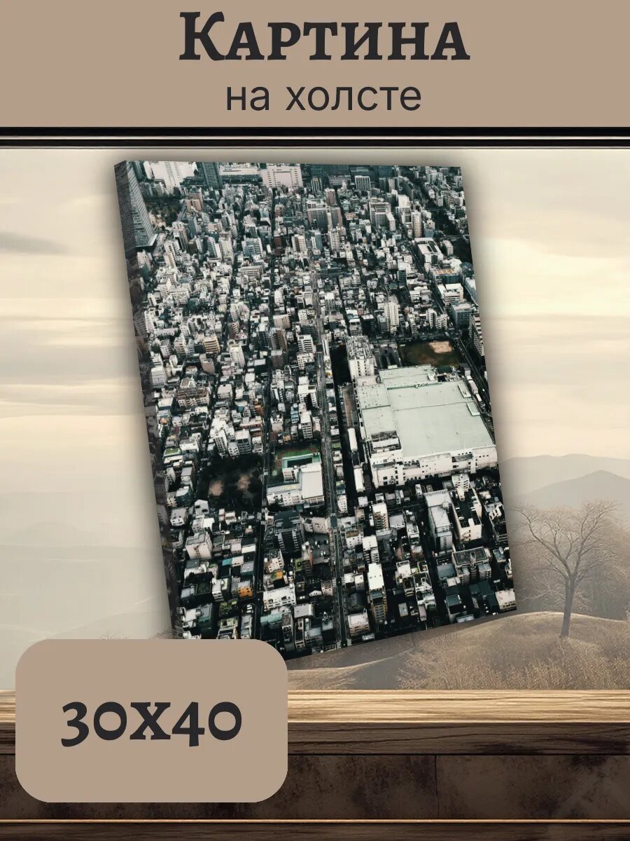 Картина Япония Japan 30x40 Токио аэрофотосъемка
