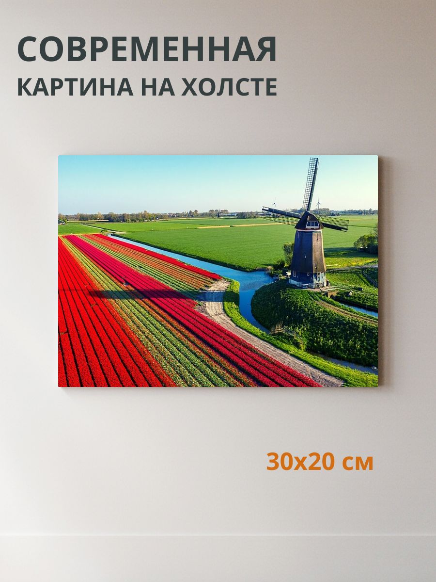 Картина на холсте Ветряная мельница 30x20 см