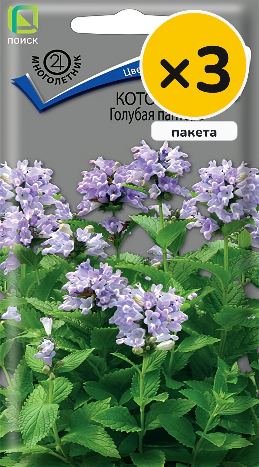 Семена котовника Голубая пантера, 10 шт, 3 пакета, Поиск, многолетник, высота до 50 см, посев на рассаду в марте