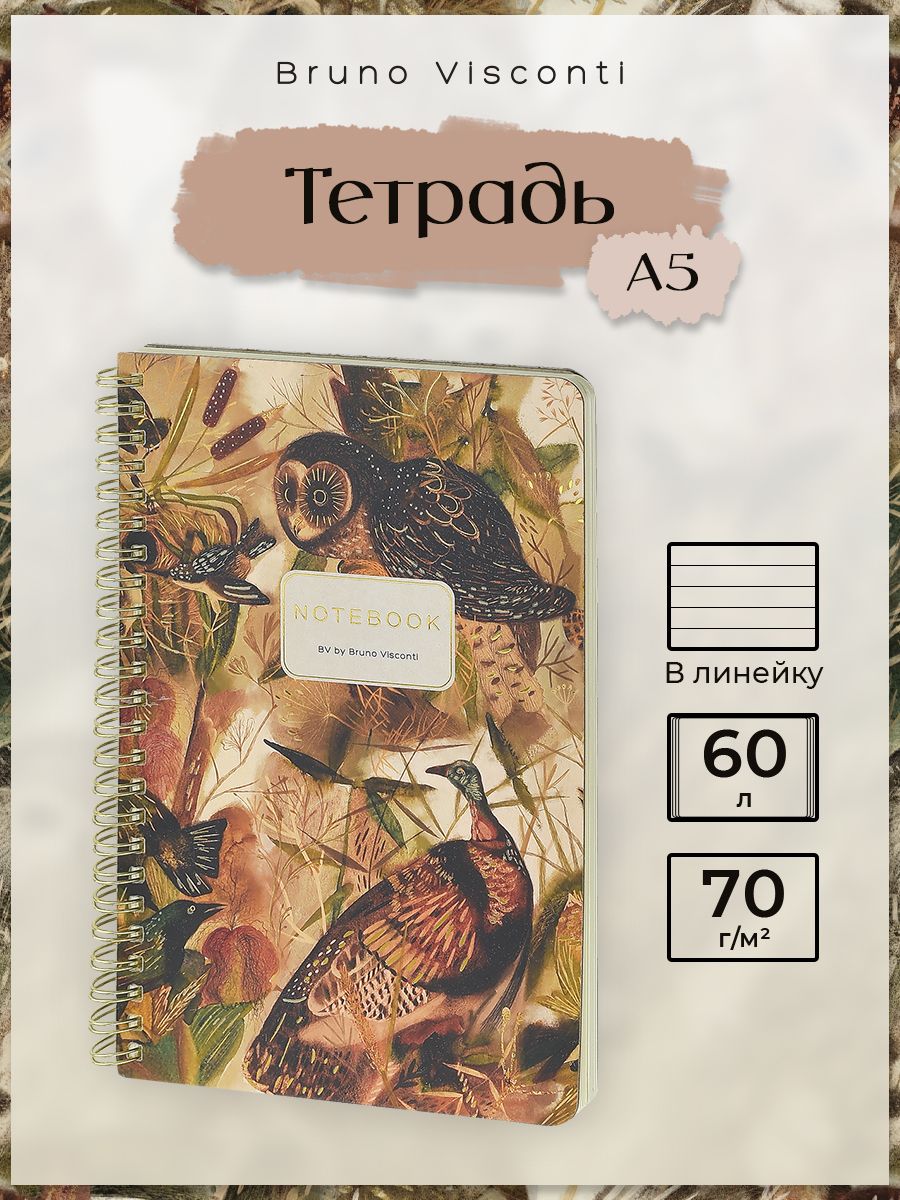 Тетрадь на пружине А5 Bruno Visconti "Волшебные совы" /тетрадь в линейку 60 л.