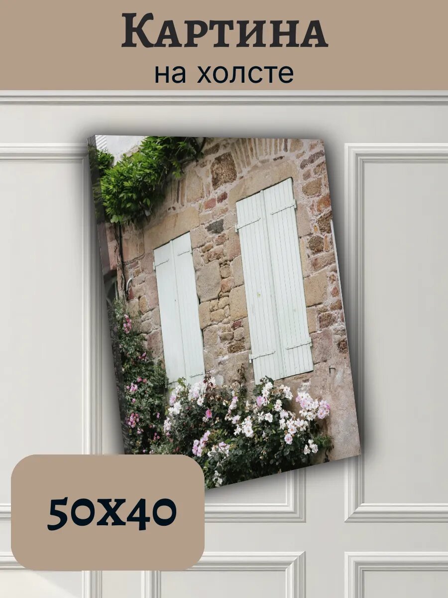 Картина Постер Франция France 40x50 старинный фасад с розами