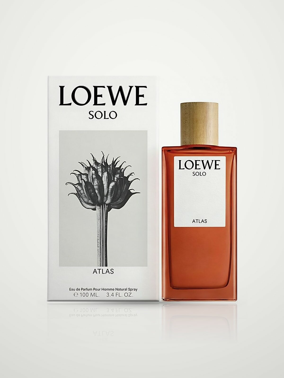 Loewe Solo atlas homme Парфюмерная вода для мужчин 100 мл
