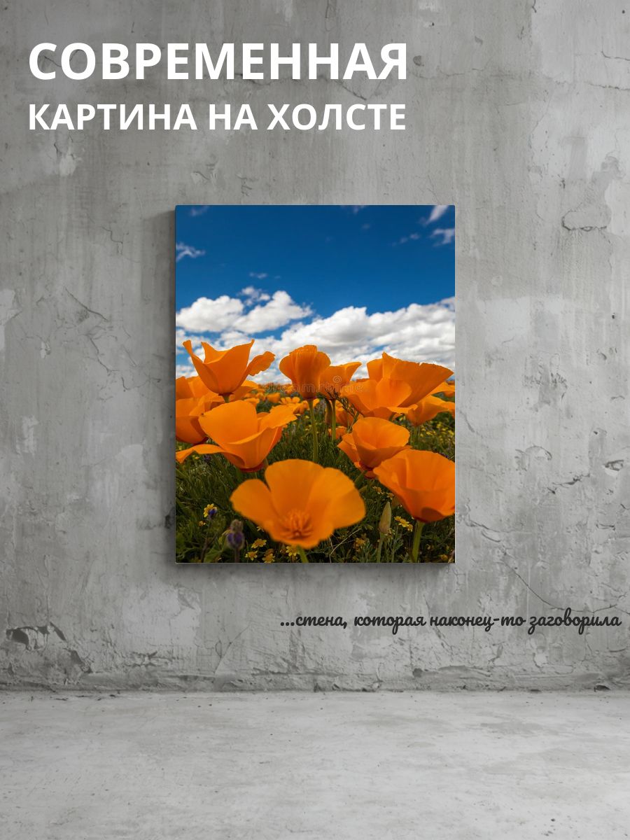 Картина на холсте Цветы в поле 60x80 см