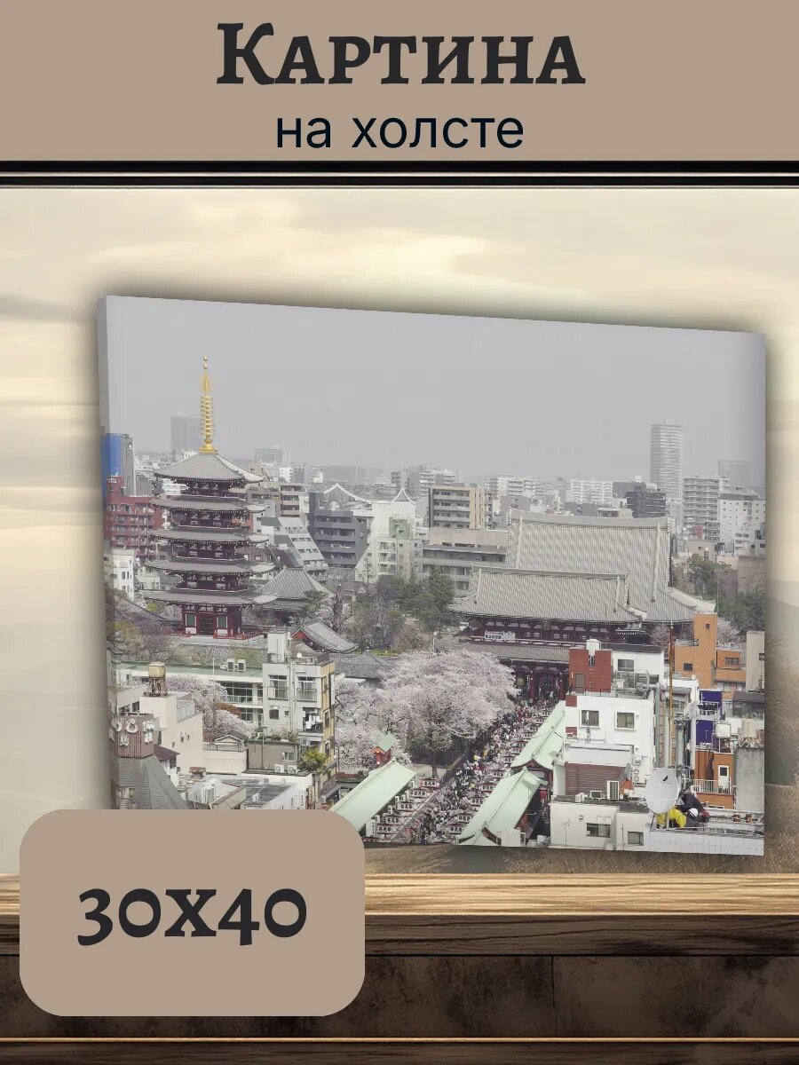 Картина Япония Japan 30x40 сенсо-джи Токио сакура
