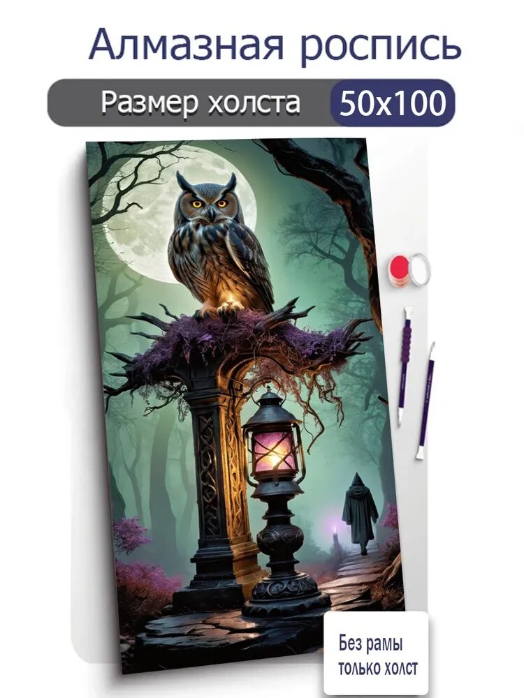 Алмазная мозаика, Сова и волшебник, Ночь полнолуния, 50Х100 см