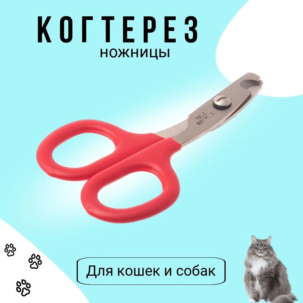 Когтерез-ножницы малый прямой для кошек и собак маленьких пород, красный / кусачки для животных / зоотовар для ухода за домашними питомцами 1903