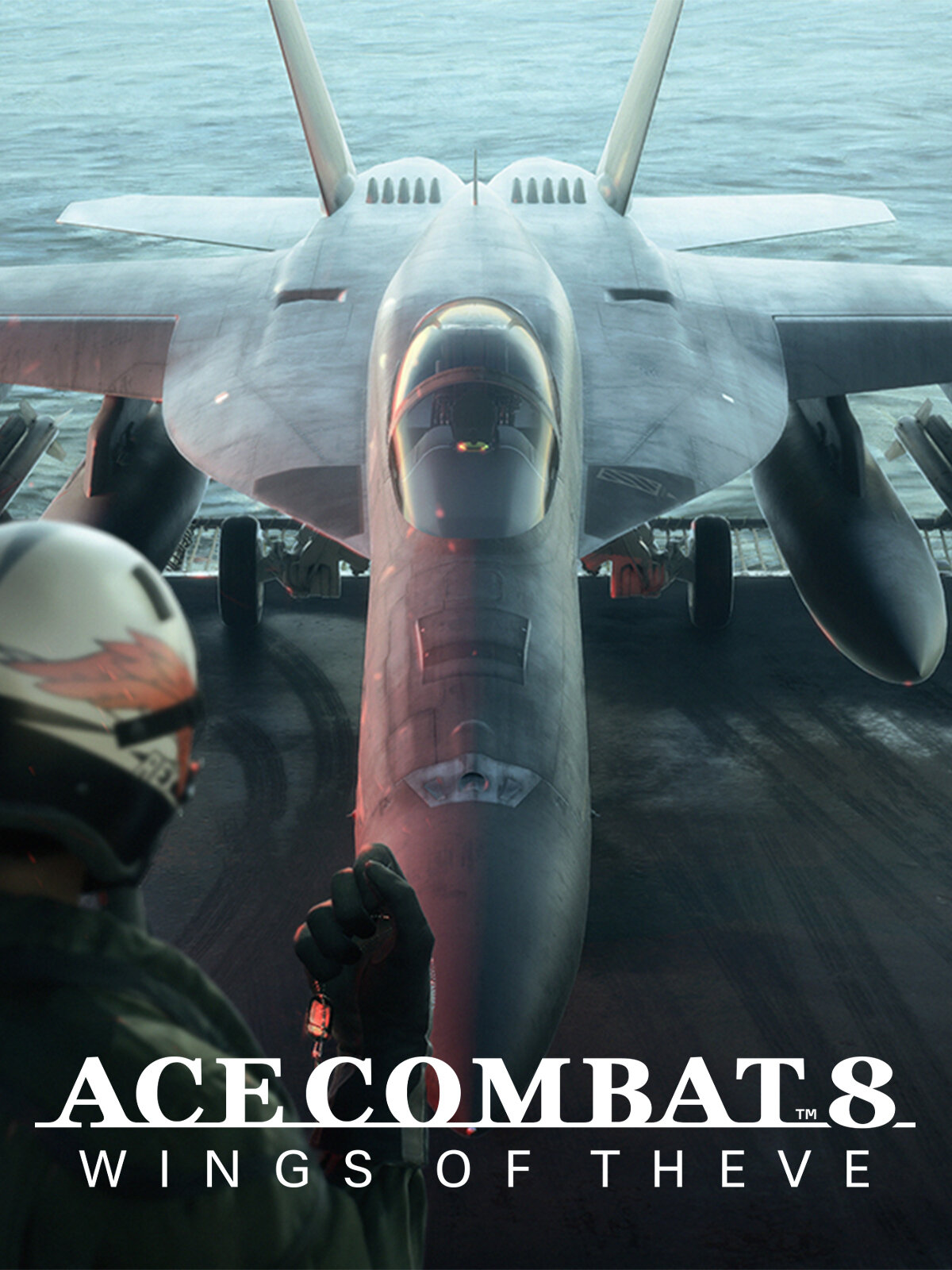 Ace Combat 8: Wings of Theve (Steam; PC; Регион активации РФ, СНГ)