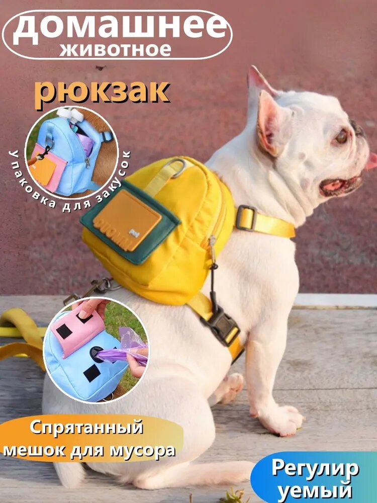 Рюкзак для домашних животных, в котором можно хранить закуски, ключи, мешки для мусора