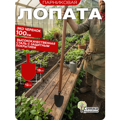 фото Лопата садовая урожайная сотка эксперт для парника, штыковая с деревянной ручкой 1,0 м