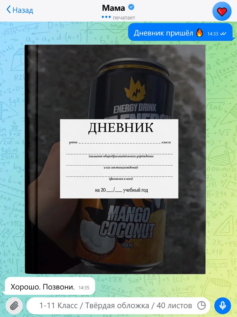Школьный дневник с принтом Роблокс