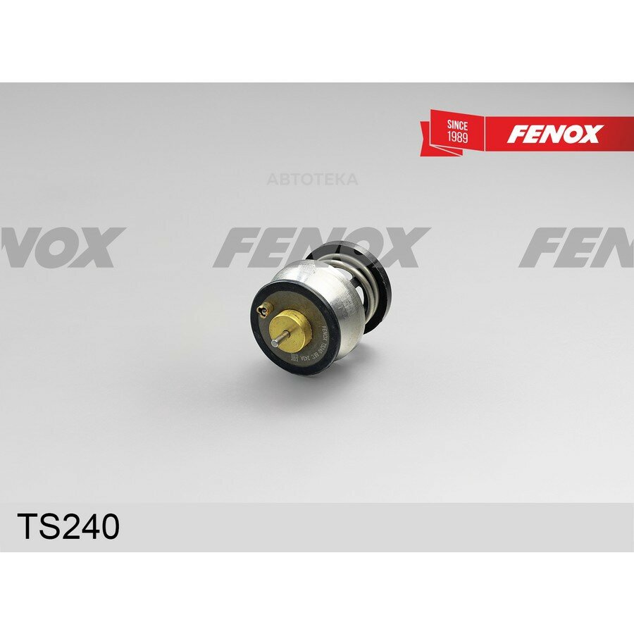 Термостат BMW X3 (F25/G01) 10- 2.0D 87 °с FENOX TS240