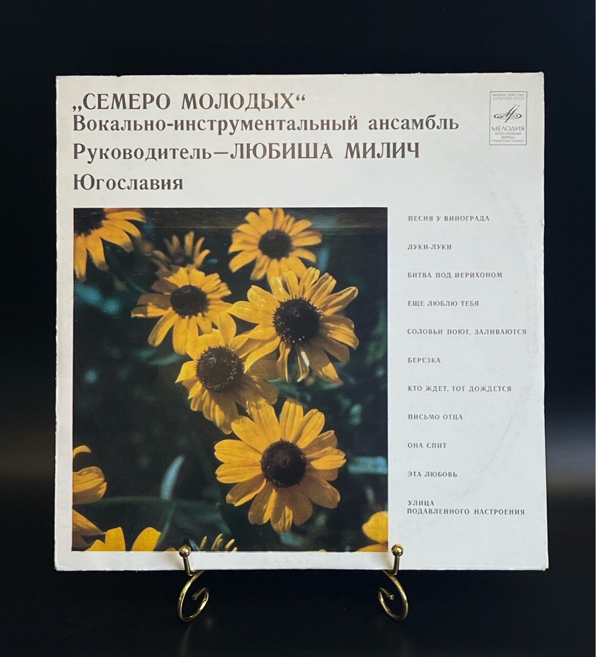 LP ВИА Семеро молодых (Югославия) - Песня у винограда - Виниловая пластинка 12 дюймов. СССР Мелодия