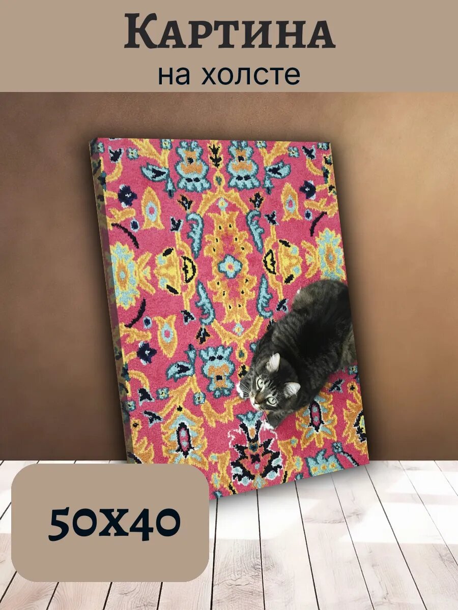 Картина Постер Кот Кошка Cat 40x50 пушистый Полосатый Серый