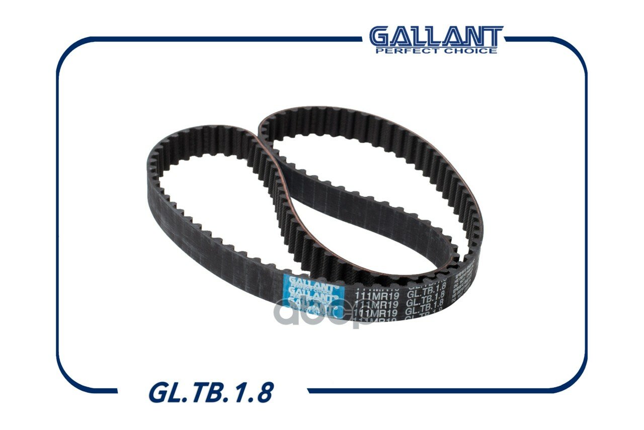 Ремень ГРМ Gallant арт. GL. TB.1.8