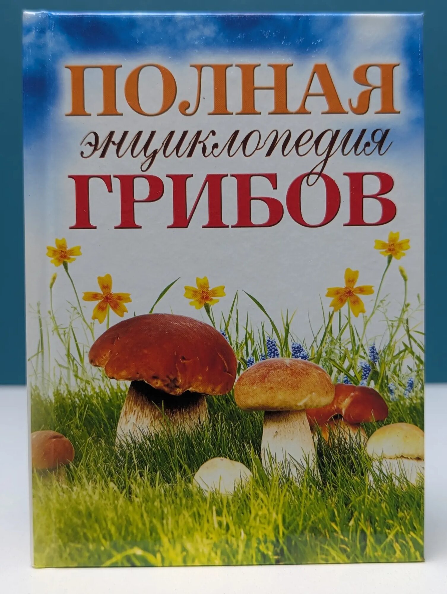 Полная энциклопедия грибов Лагутина Татьяна Владимировна 2012