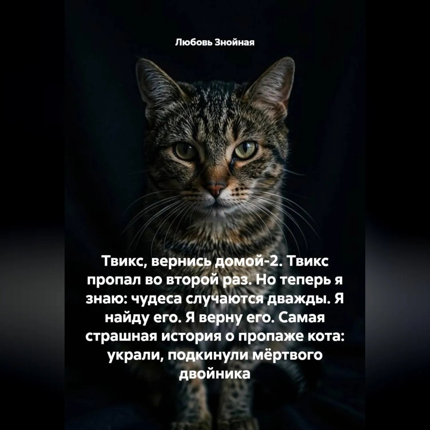 Твикс, вернись домой-2. Твикс пропал во второй раз. Но теперь я знаю: чудеса случаются дважды. Я найду его. Я верну его. Самая страшная история о пропаже кота: украли, подкинули мёртвого двойника [Аудиокнига]