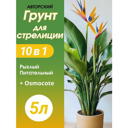 фото Грунт для стрелиции 5л готовый