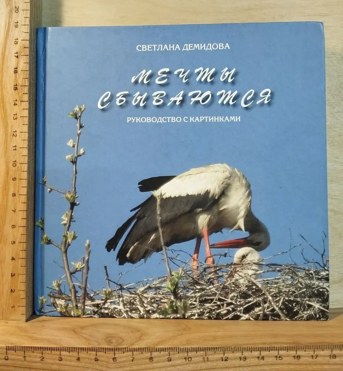 Мечты сбываются. Руководство с картинками