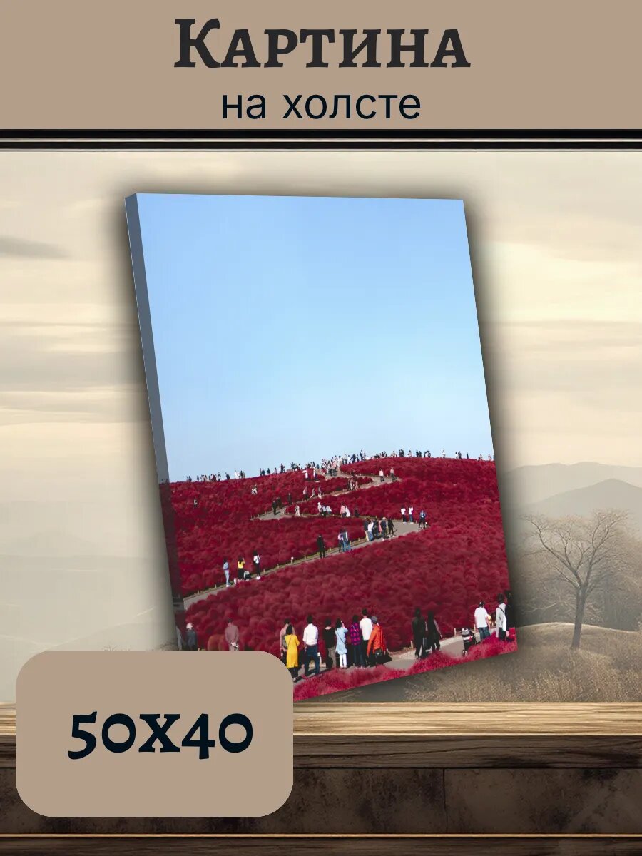 Картина Япония Japan 40x50 красная растительность