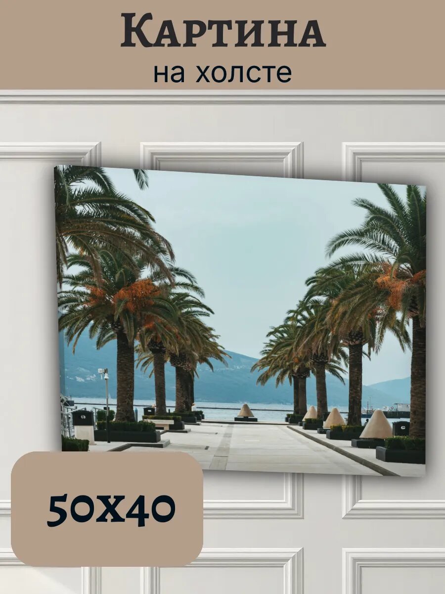 Картина Черногория Montenegro 40x50 пейзаж с пальмами