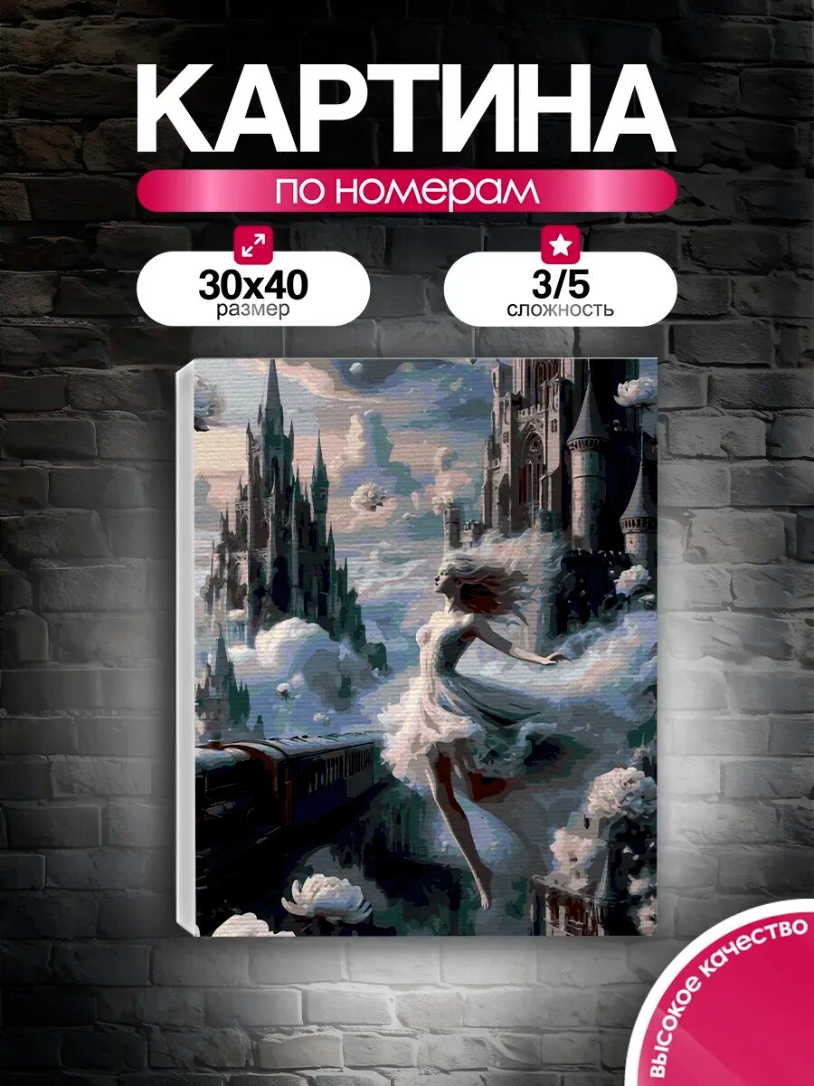 Картина по номерам 30x40 Полет к замку