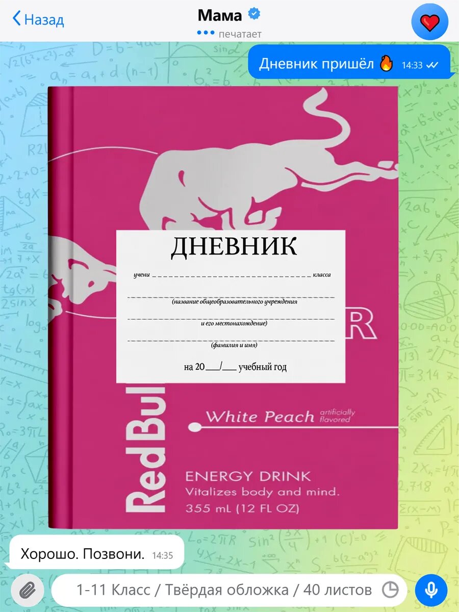 Школьный дневник с принтом Роблокс