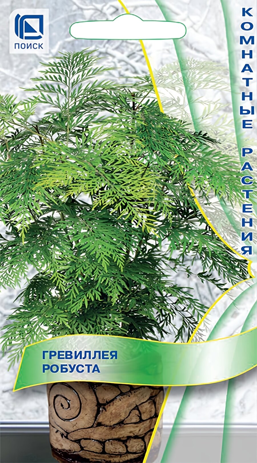Семена гревиллеи робуста, 5 шт, Поиск, многолетник, высота до 100 см, посев на рассаду в январе–марте