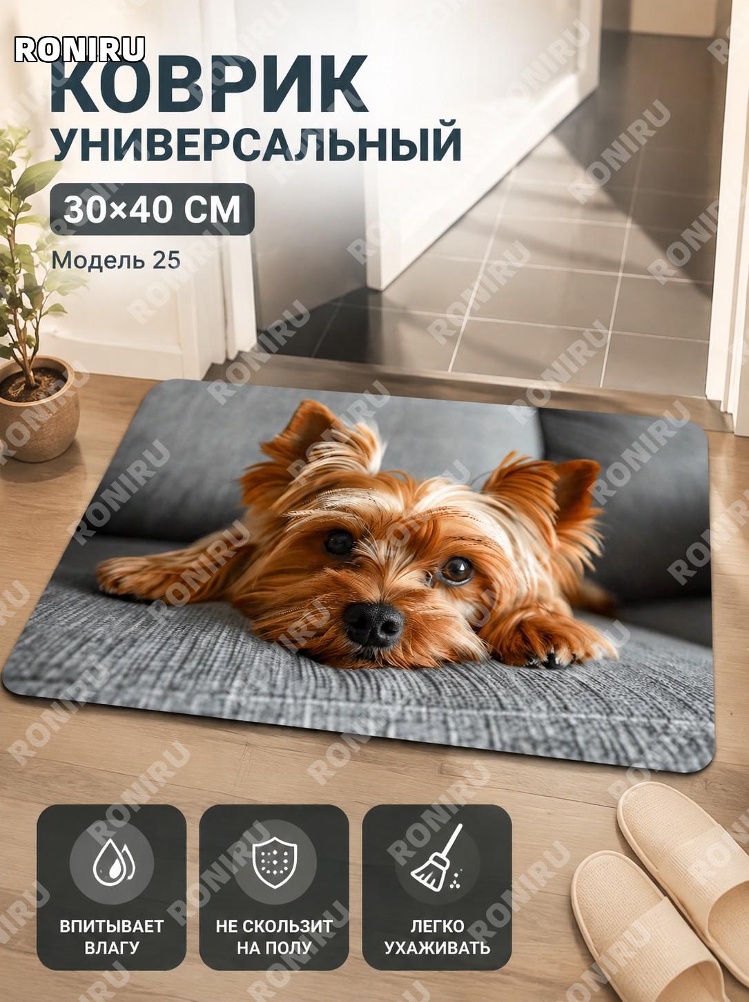 Коврик придверный 30×40 см из хрустящего велюра, стиль 25, полиэстер, точечная основа, для дома, ванной и прихожей