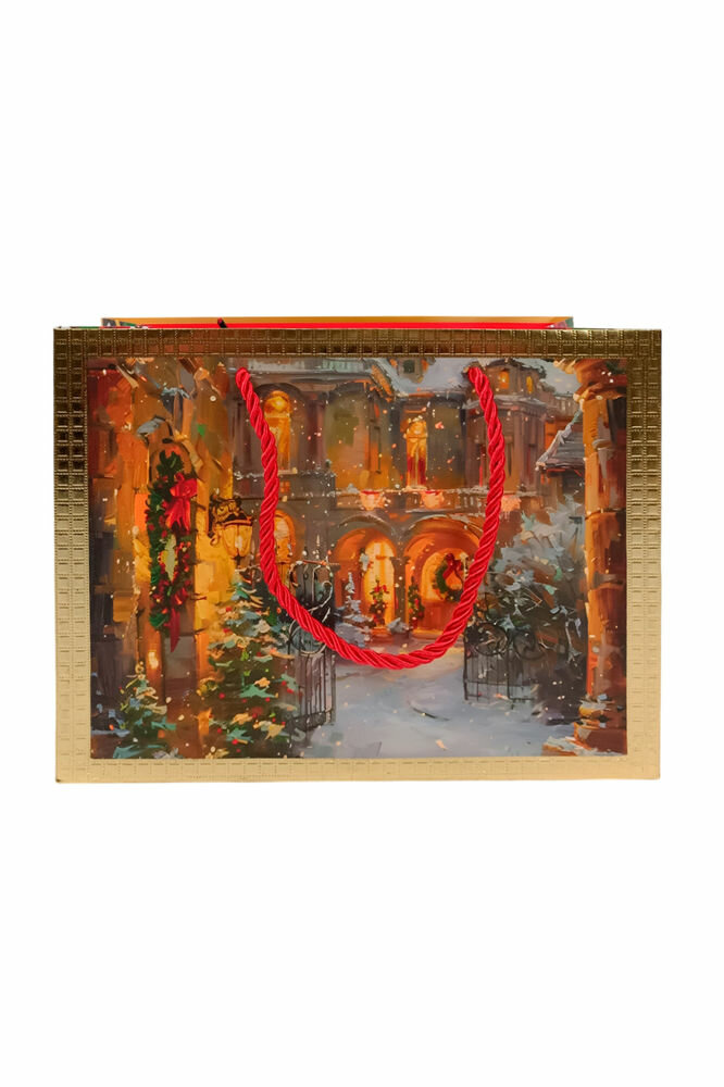 Подарочный пакет свет праздника, бумага, 23х18 см, Дю Эссе Кристмас (Due Esse Christmas) XNA24064261-4
