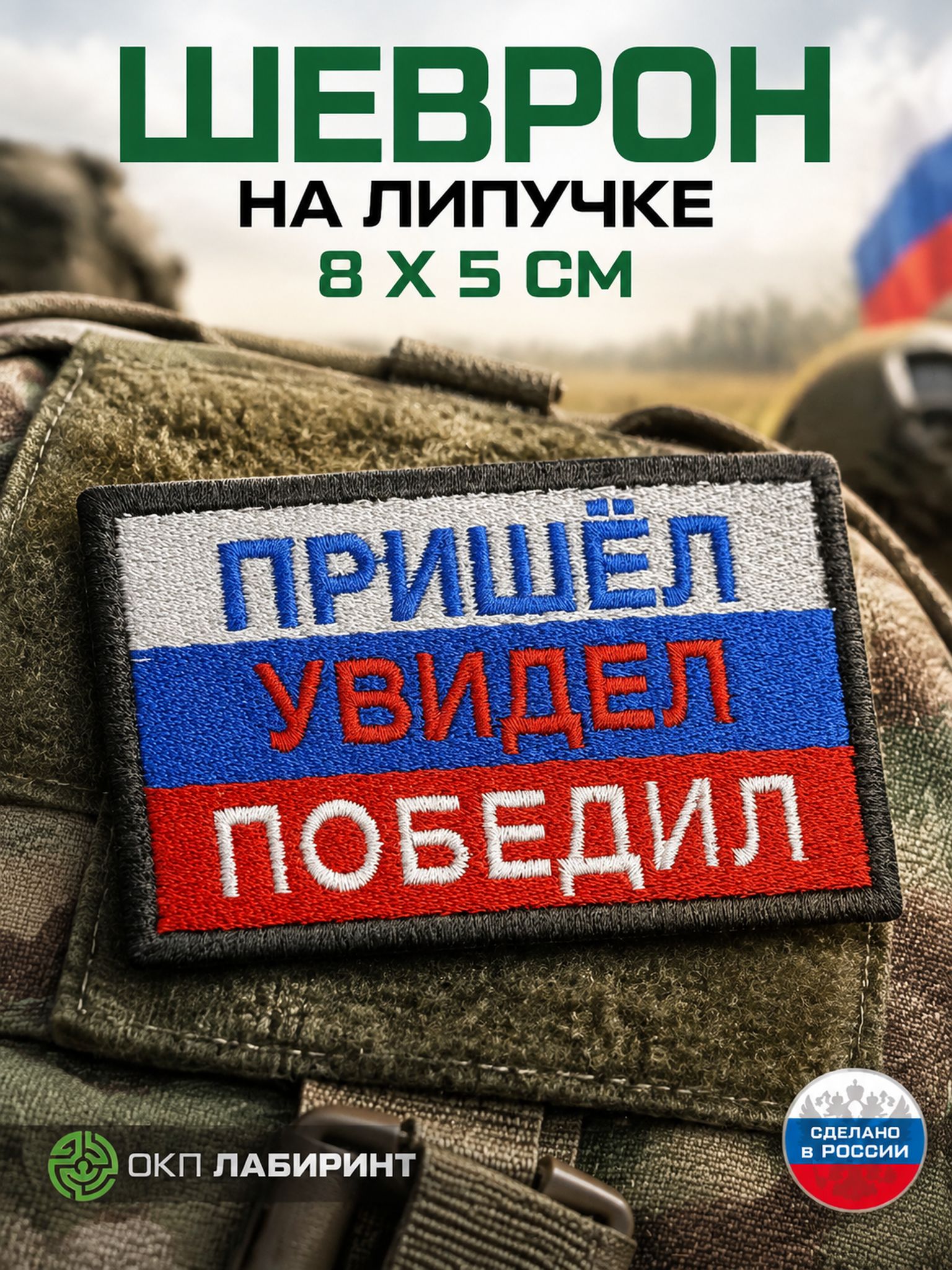 "Пришел, увидел, победил" шеврон на липучке