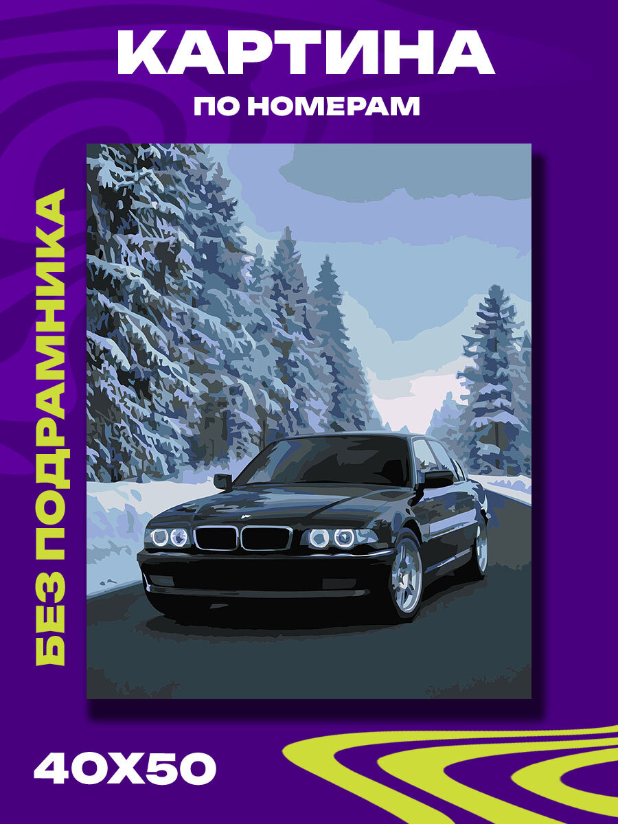 Картина по номерам Чёрный BMW среди снегов