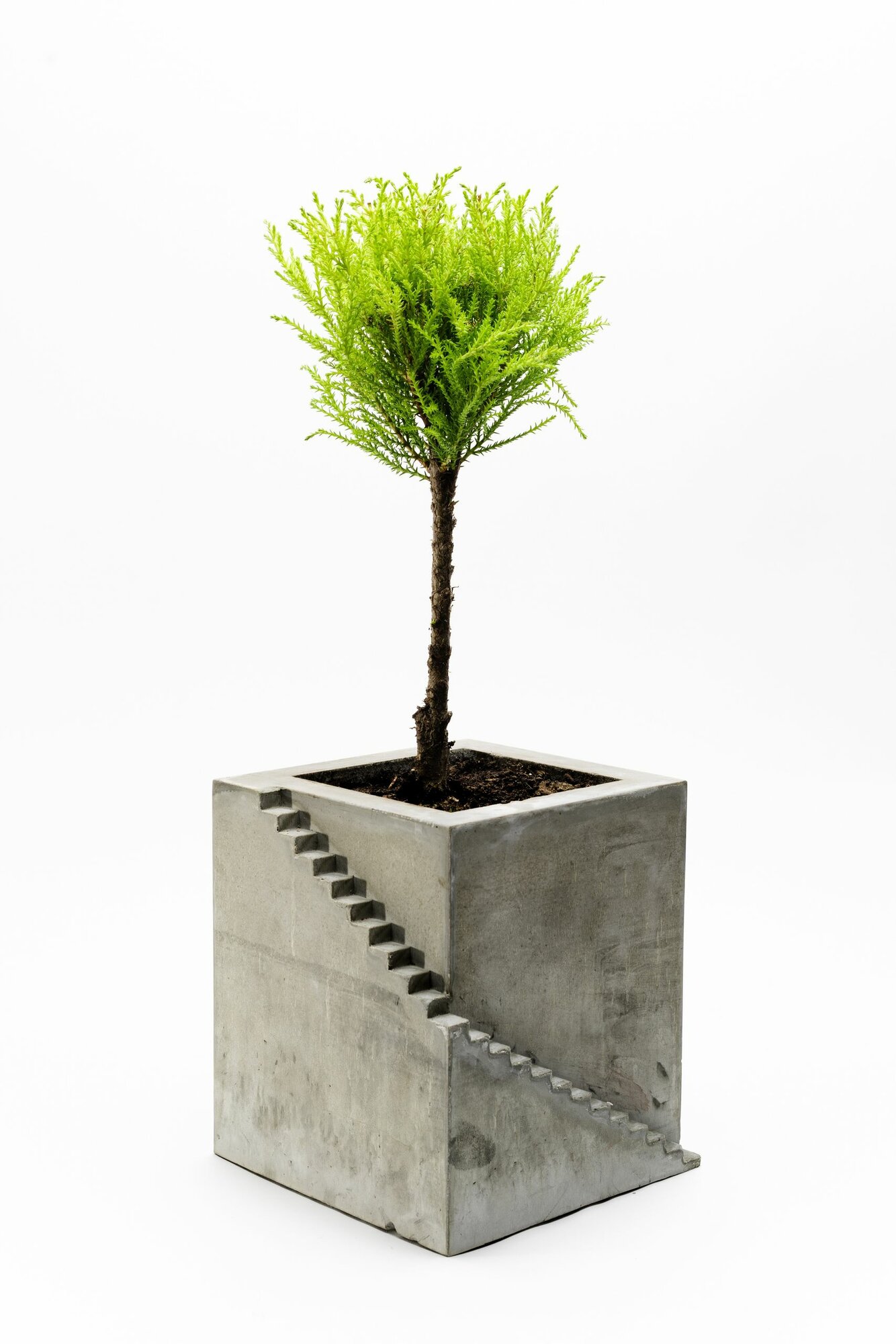 Кашпо для растений дизайнерская, 3D-печать под заказ, арт. PZ-PLANT-TV-3723698