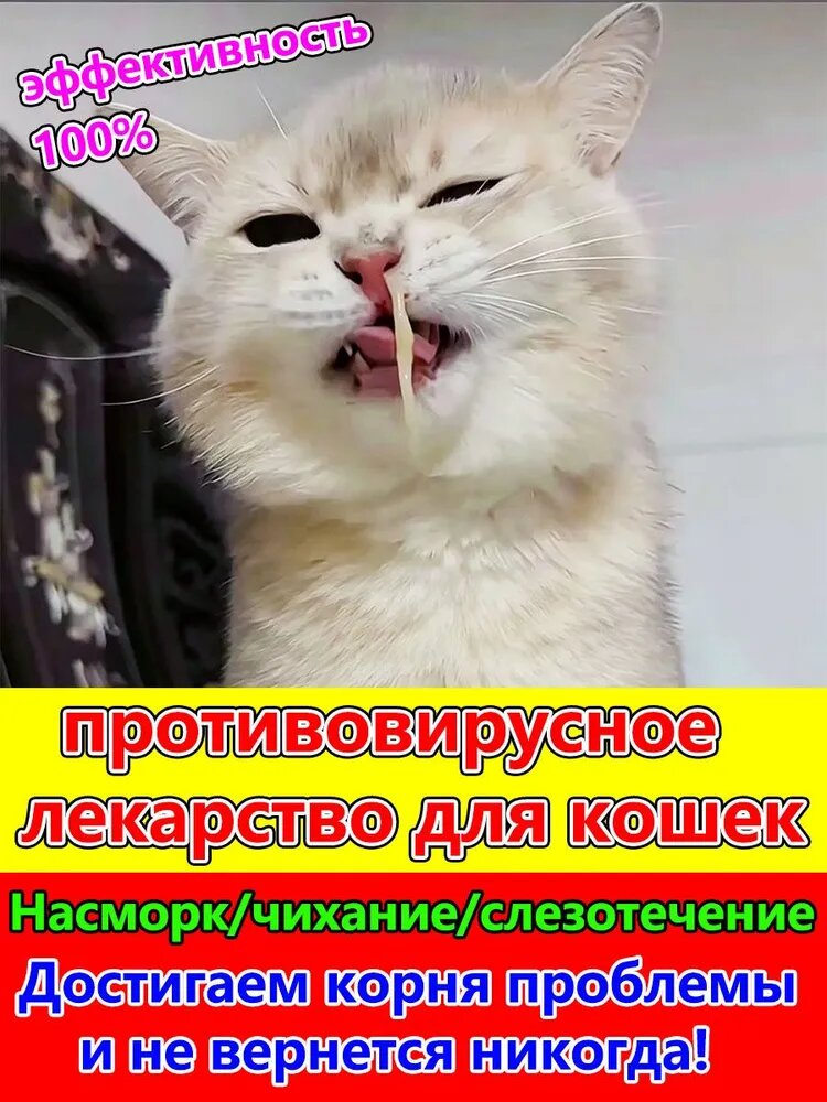 Капли от простуды для собак и кошек