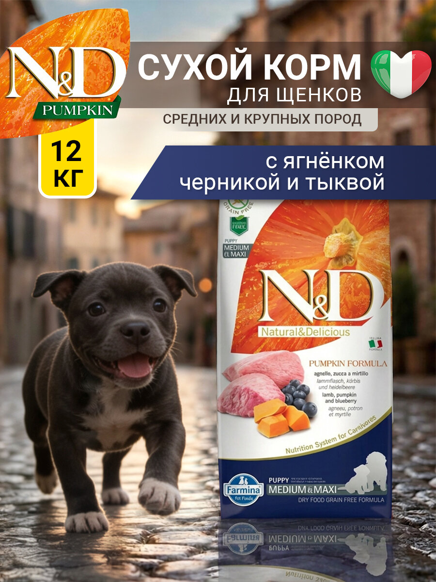 Сухой корм Farmina N&D Pumpkin (Фармина) для щенков, беременных и кормящих сук средних и крупных пород ягненок, тыква и черника, 12 кг