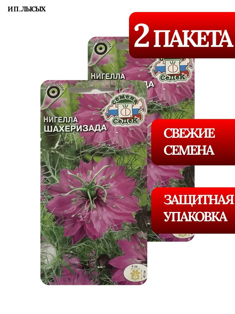 Семена Нигелла "Шахеризада"