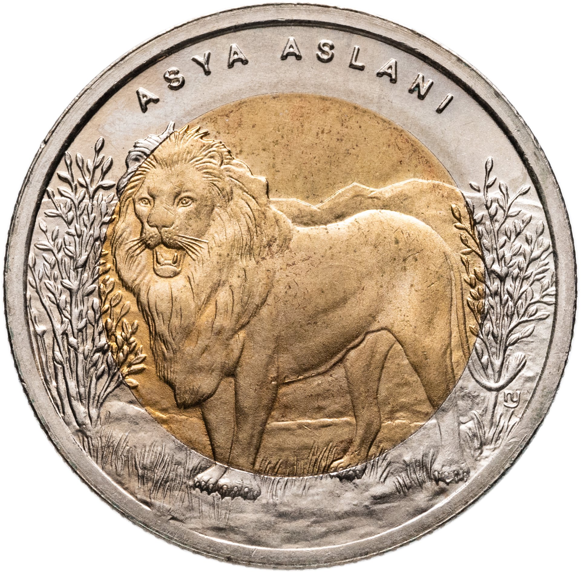 Турция 1 лира lira 2011 "Фауна Турции-Лев", Биметалл, в сохранности UNC