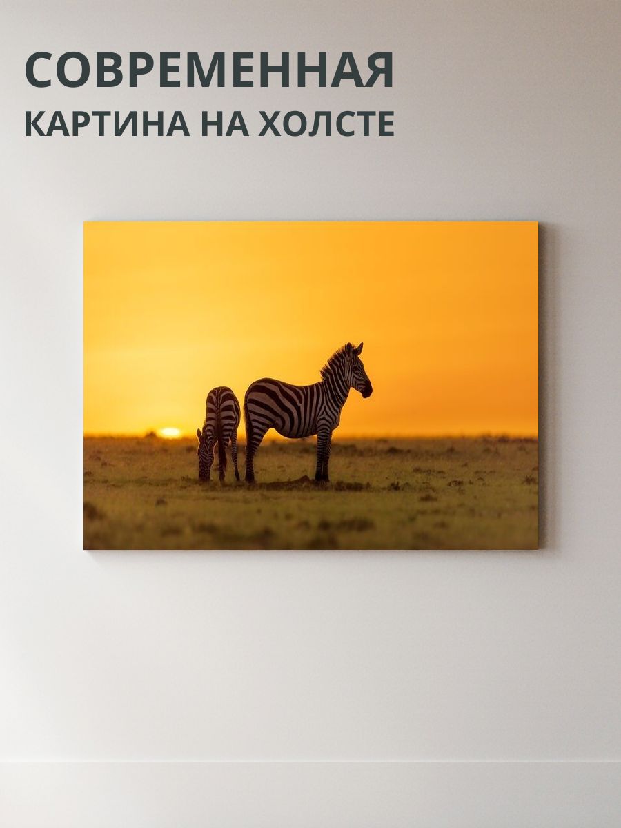 Картина на холсте Зебра 70x50 см