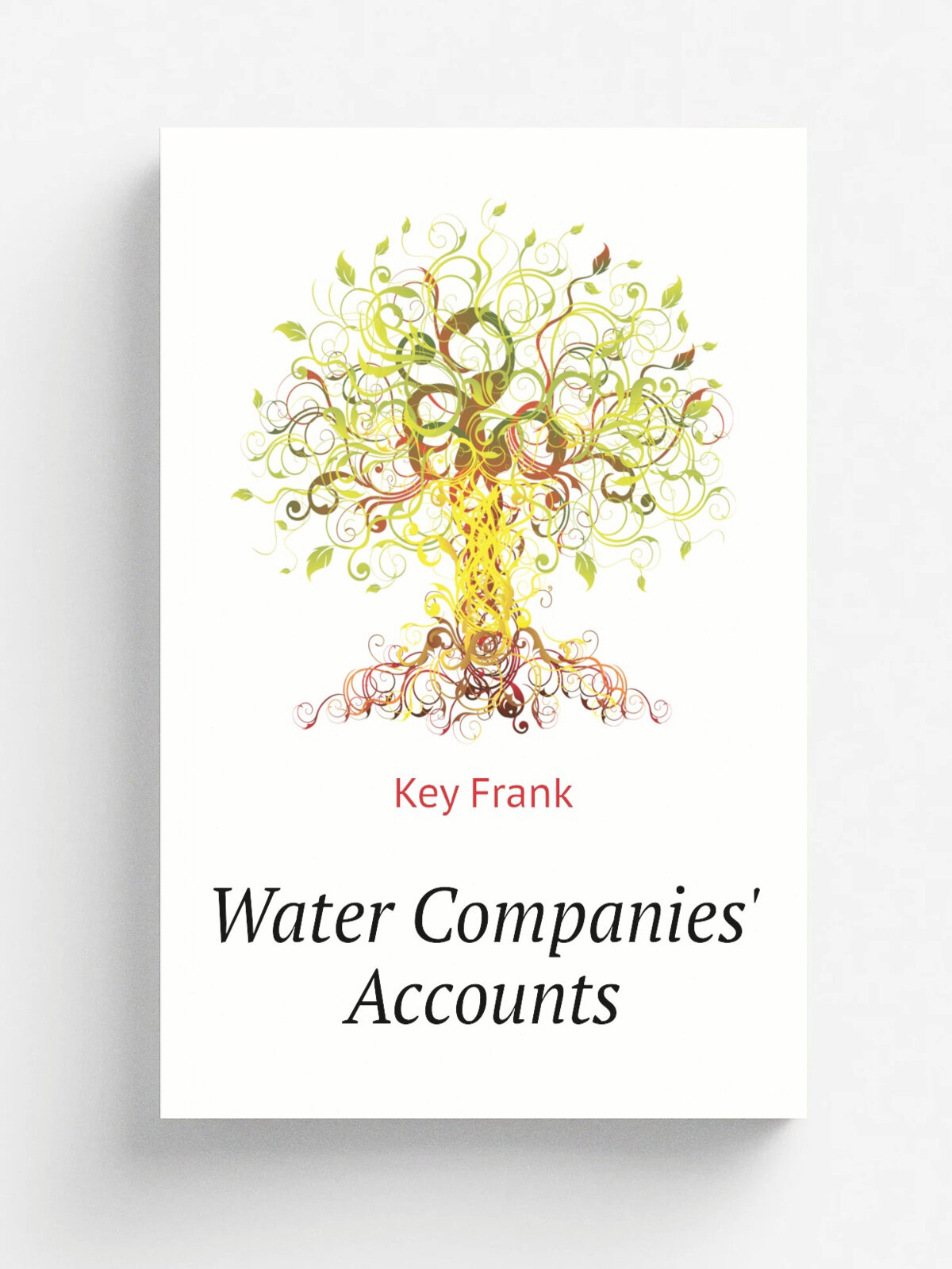 Water Companies' Accounts | Key Frank | Репринт