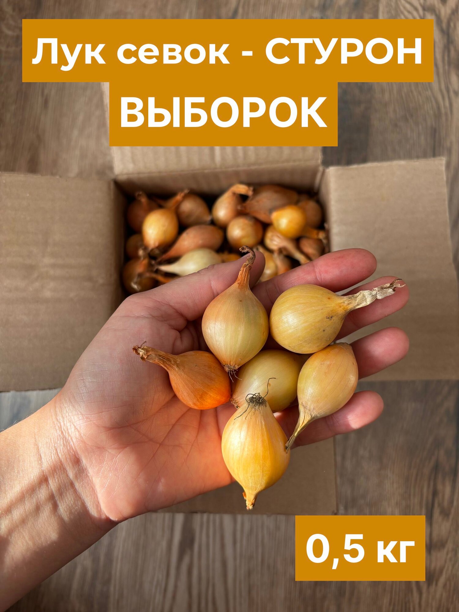 Лук севок стурон воборок, идеально для зелени , 0,5 кг