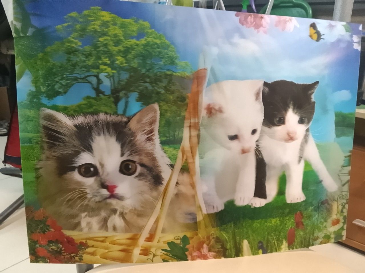 Картина 25*35см. Голографическая 3Д. Котята