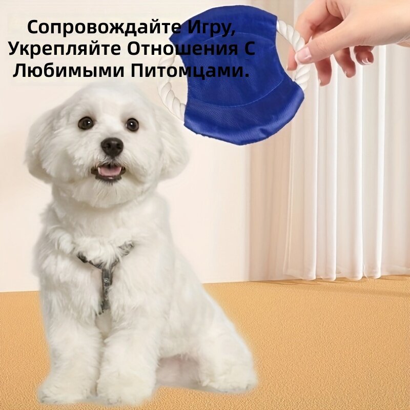 Летательный диск для собак, устойчивая к укусу игрушка для чистки зубов, 1 шт, стиль с изображением кота и собаки, цвет случайный