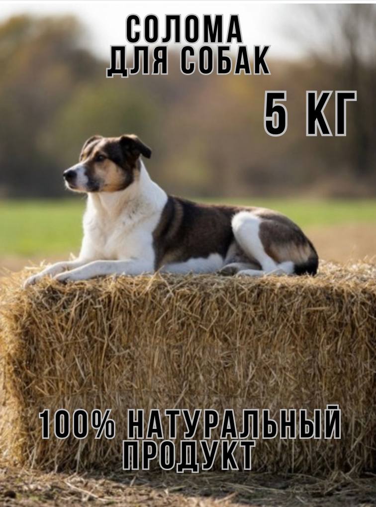 Солома, мульча, подстилка 5кг пшеничная