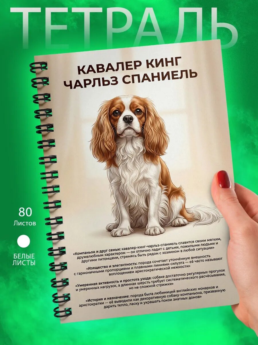Тетрадь - А5 - Кавалер кинг чарльз спаниель