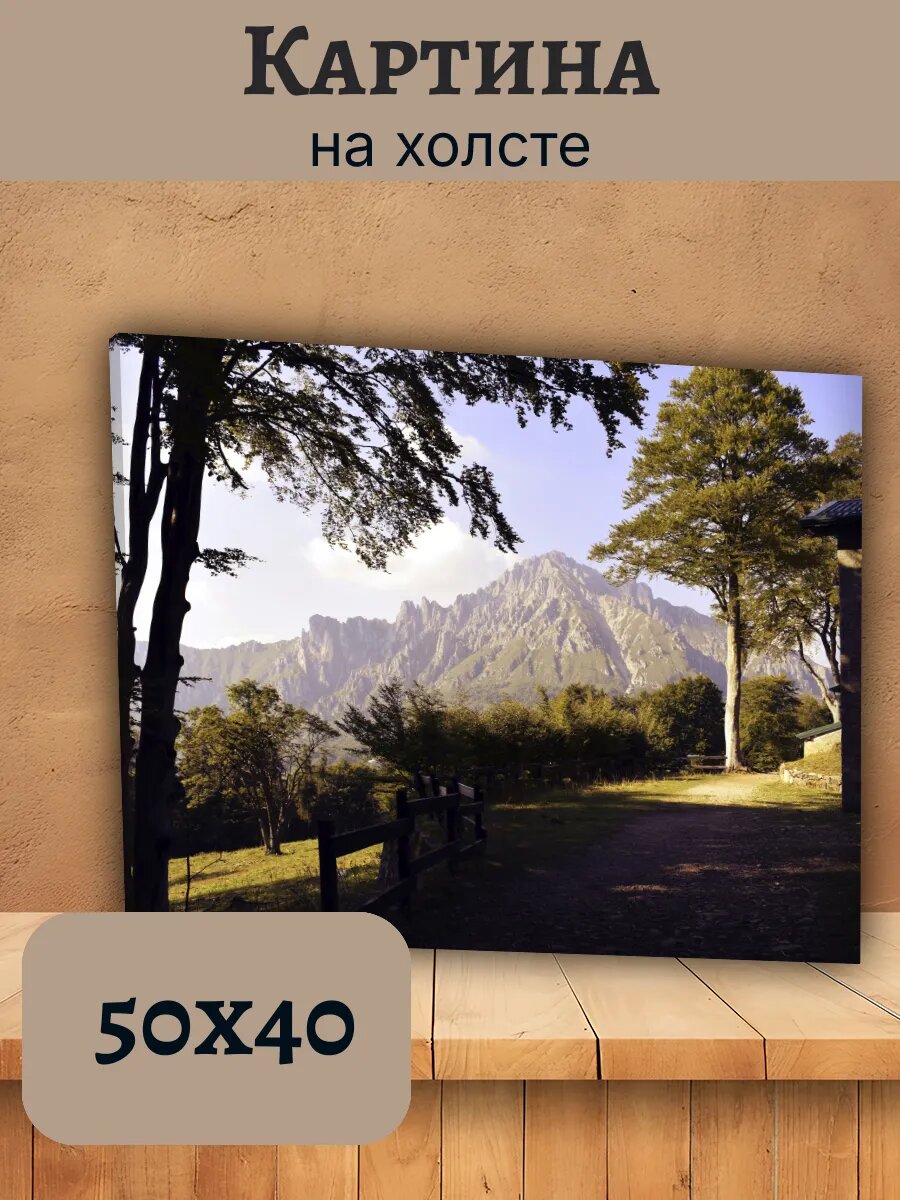 Картина Италия Italy 40x50 горный пейзаж с лесом и тропинкой